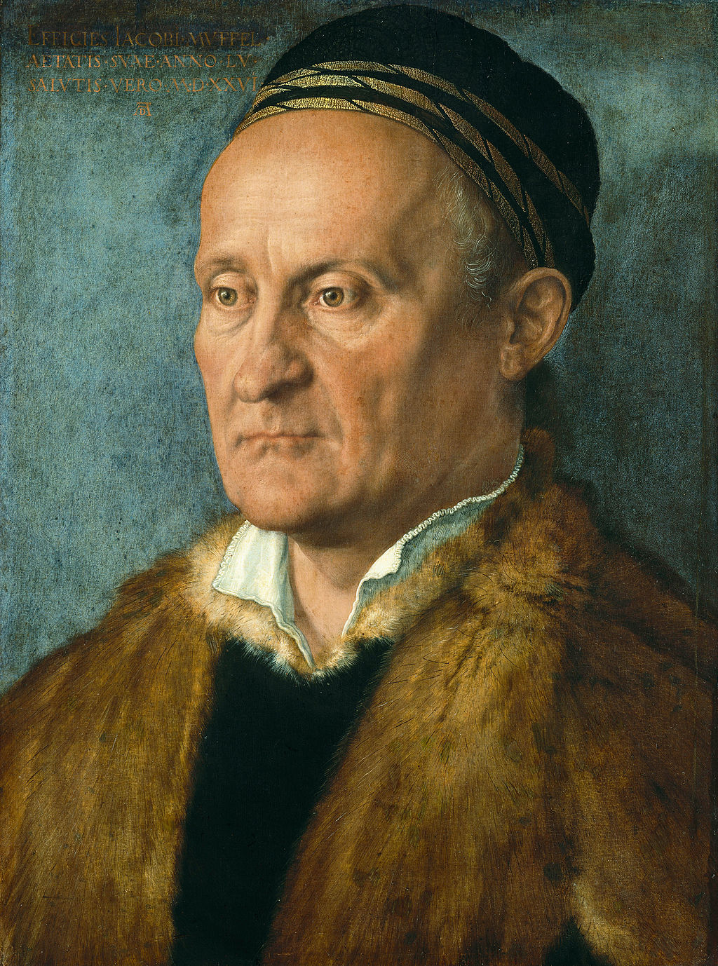 Portrait of Jakob Muffel in Detail Albrecht Durer